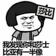 莎士比亚没有士啥意思，别人说你是莎士比亚没有士应该怎么回