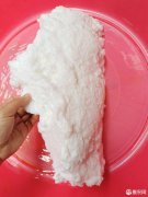 太岁肉灵芝是什么样的东西图片，它在什么样的情况下生长？