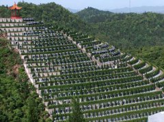 公墓是一次性买断永久的吗，是哪个部门管民政局吗？