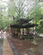 灵隐寺为什么叫云林禅寺，情侣不能去灵隐寺吗？