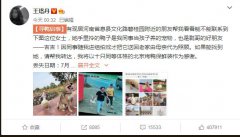 柯尔鸭聪明吗，好养吗为什么能当宠物？