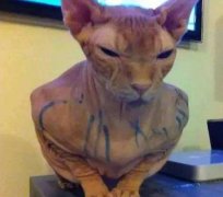 一个人怨气太深会怎样,怨气太重的人的状态表现盘点