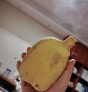 苹果蕉是转基因还是苹果嫁接的，为什么叫苹果蕉？