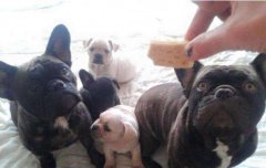 做个人不好吗是什么梗，求求你做个人吧是骂人吗？