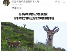 抽血术前禁食禁水可以吞口水吗？可以吃糖喝汤吗？