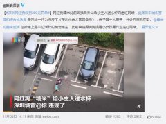 网红狗糯米是什么品种，它是被训练的么还是天生智商高