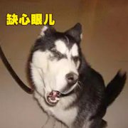 缺心眼的人是智商低吗，缺心眼的人有什么特征？