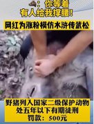 人拿刀能打过狼、老虎吗，驱赶狼的方法有哪些？