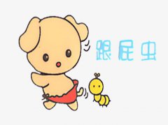 跟屁虫是什么动物，真的有跟屁虫这种昆虫吗？