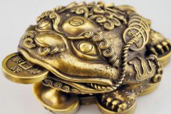 风水蟾蜍放到水里是什么意思，风水蟾蜍什么颜色最好？