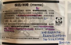 meme是什么梗？米姆是什么意思？
