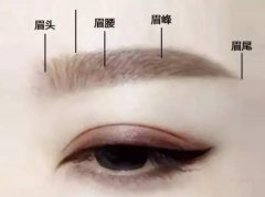 眉高一寸富贵不问是什么意思，眉高一寸天庭平是什么意思？