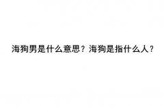 海狗男是什么意思？海狗是指什么人？