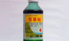 喝了百草枯吃土有救吗？喝了百草枯救活后还有会有后遗症吗