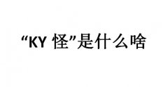 KY是什么意思？KY怪是什么啥？