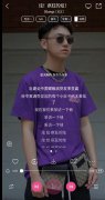 炫我胃里的炫什么意思？炫我疯狂的炫什么意思