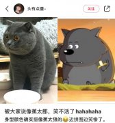 蕉太狼和灰太狼是什么关系，蕉太狼老婆叫什么名字？
