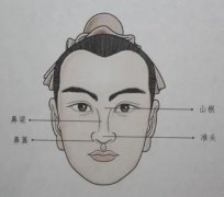 希腊鼻标准照片是什么样子，为什么帅哥都是希腊鼻？
