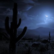 夜晚的沙漠为什么可怕？夜晚的沙漠冷不冷，很危险吗