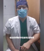 荷兰猪咬人用打疫苗吗？荷兰猪为什么会轻轻的咬主人