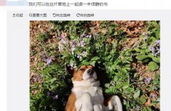 恬静的书是什么意思？读一本恬静的书是什么梗？