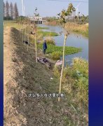 为什么年轻人不要钓鱼？钓鱼穷三年是什么梗