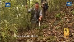 莽山洛铁头毒性排名世界第几，莽山洛铁头和五步蛇那个厉害？