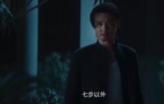 七步之内拳快出自哪里？七步之内拳快七步之外枪快什么电影