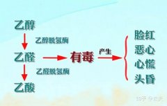 解酒最快的三种饮料盘点，解酒最快的方法有哪些？
