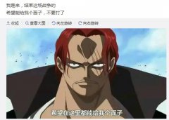 面子果实什么梗？面子果实能力者什么意思？