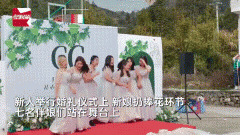 被手捧花砸中什么寓意？手捧花一般用什么花