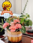 男生说女神节快乐怎么回复？让你看清他对你的心意