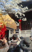 灵谷寺持善法师简介，灵谷寺求什么比较灵？