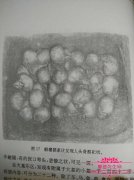 中国人在许愿池扔硬币的原因揭秘，市民许愿池扔硬币注意事项