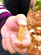 中国发现保存最完好的古尸，揭秘中国七大古尸容貌复原图