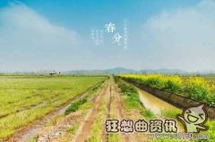医生都抢着吃的十种野菜名单，关于吃野菜的注意事项