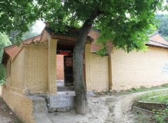 门前种什么树有助风水？门前种槐树的风水作用介绍