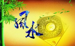 家里杂物多影响风水吗？怎么养好家里的风水