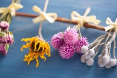 家里放干花对风水不好的原因，做干花为什么要倒挂？