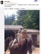张若昀哈士奇是什么梗？张若昀为什么叫丑昀