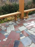 看到黄鼠狼过马路要发财吗，夜里看见黄鼠狼怎么解？