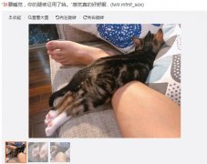 怎么神回复自称朕的人，自称朕的人是什么心理？