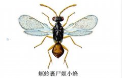 弃婴多是富贵命真的假的，弃婴的命都很硬吗？