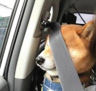 男人右眼跳是财还是灾，眼皮跳的科学解释是什么