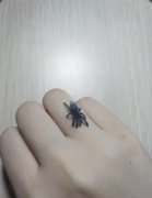 蜘蛛没打死会报复人吗，蜘蛛会凭气味报复真的假的