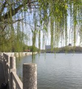 传说中鬼为什么害怕柳条，柳条打鬼的口诀是什么