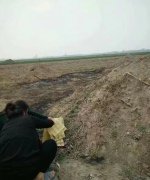 事事不顺祖坟有问题怎么办，祖坟风水不好怎么补救？