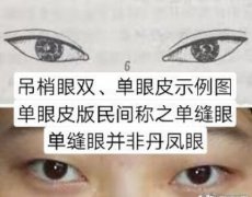 吊梢眼的女人有福气？还是无情无义？克夫吗？