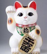 三花猫为什么招财？三花猫是什么品种？都是母猫吗？