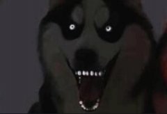 1990年微笑狗事件原图，微笑狗事件死了多少人？